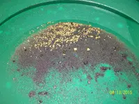 gold4-13-15 (7).webp