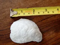 DSCN0229.webp