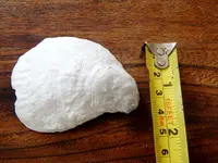 DSCN0230.webp