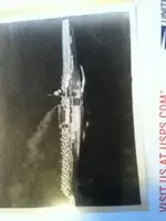 ImageUploadedByTreasureNet.com1428796055.813326.webp