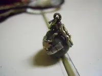 DSCN0225.webp