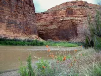 colo river 1.webp