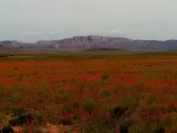 kanab bob 1.webp
