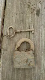 1429997578294.webp