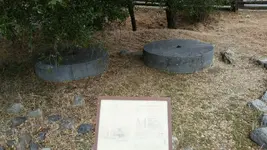 1431726011369.webp