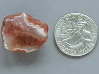 Agate-OrangeEyes2015-Img_6263SSS.webp