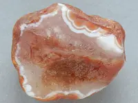 Agate-OrangeEyes2015-Img_6264SSS.webp