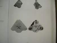 Book Page back.webp