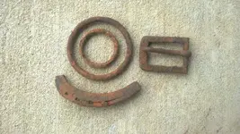 Rings.webp