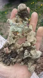 copper3.webp