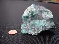 DSCF8747.webp
