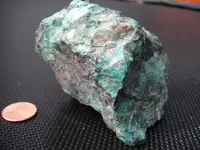 DSCF8750.webp