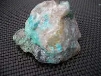 DSCF8759.webp