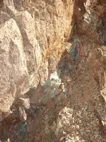DSCF8695.webp