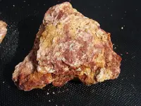 DSCF8742.webp