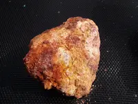 DSCF8743.webp