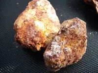 DSCF8745.webp