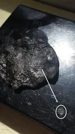 20150430_114219.webp