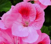 K1600_011.webp