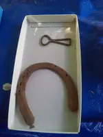horseshoe&unknown.webp