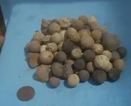musketball2.webp