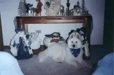 Sabrina.webp