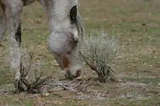 marsh 4 - 14 - 6 041_RJ.webp