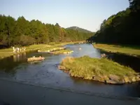 CTH15.webp