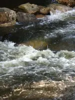 CTH18.webp