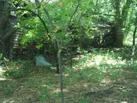 S3010973.webp