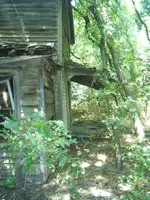 S3010980.webp