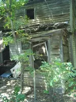S3010981.webp