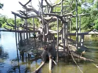 small monkey island.webp