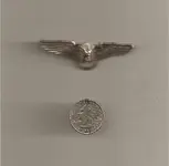 Flying Indian 001.webp