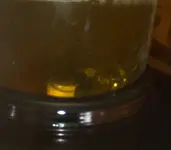 2ACIDBATH.webp