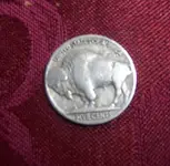 buffaloback.webp