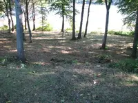 clam bake 038.webp