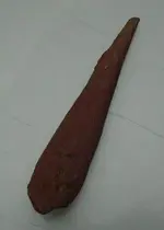 sc07481.webp