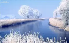 froze.webp