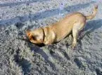 60099864.webp