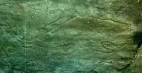 whalepetroglyph1.webp