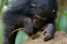 5875064034_2e9f99a22f_z.webp