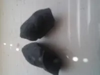 20150425_135431.webp