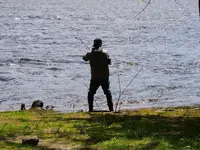 K1600_007.webp