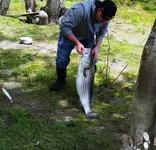 K1600_011.webp