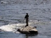 K1600_003.webp