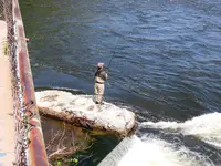 K1600_004.webp