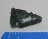 DSCN1610.webp