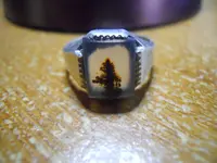 DSCN0245.webp