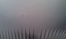 IMAG0372.webp